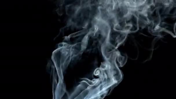 Rauch auf schwarzem Hintergrund steigt auf. Rauch verflüchtigt sich. — Stockvideo