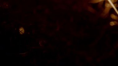 Soyutlama. Yanan Küçük Nesnelerin Küçük Işıkları.