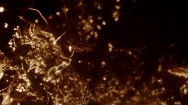 Soyutlama. Yanan Küçük Nesnelerin Küçük Işıkları.