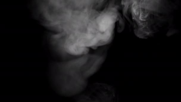 Abstrakta former av rök på svart bakgrund. — Stockvideo