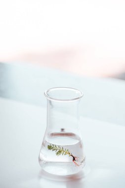 biyolojik araştırma şişesi