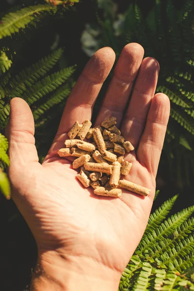 Pellet Legno Naturale Una Mano Uomo — Foto Stock