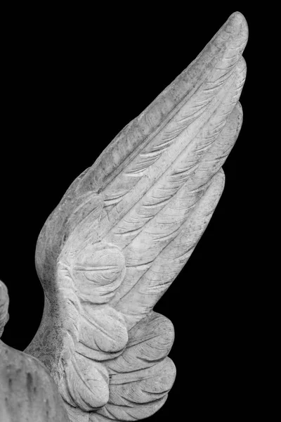 Křídla Anděl Izolované Černém Pozadí — Stock fotografie