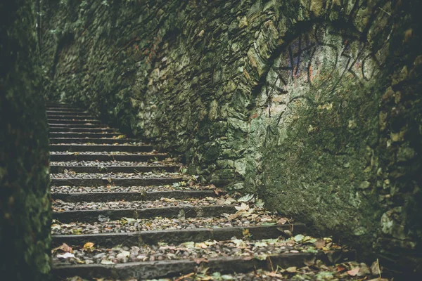 Πτώση Στην Αρχαία Πόλη Φθινόπωρο Σεζόν Συγκεκριμένες Φθινόπωρο Σεζόν Σκοτεινή — Φωτογραφία Αρχείου