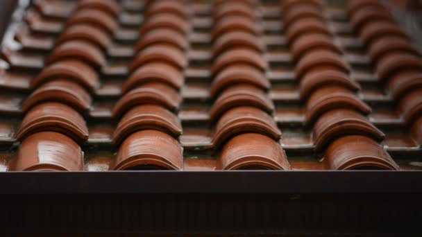 Roof Tiles Rainy Day — Stock Video