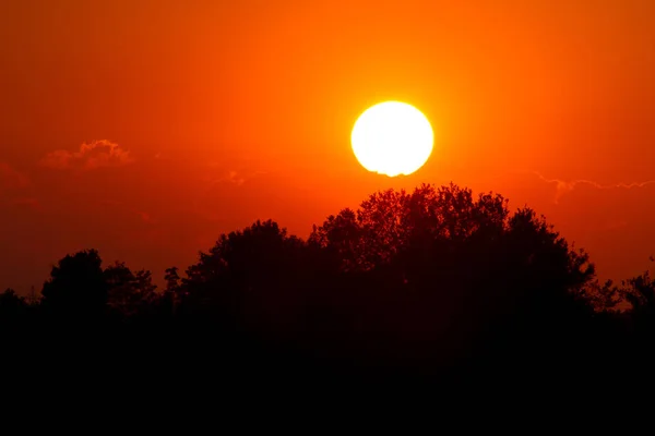 大太阳在日落和树剪影 一天的概念的结尾 — 图库照片