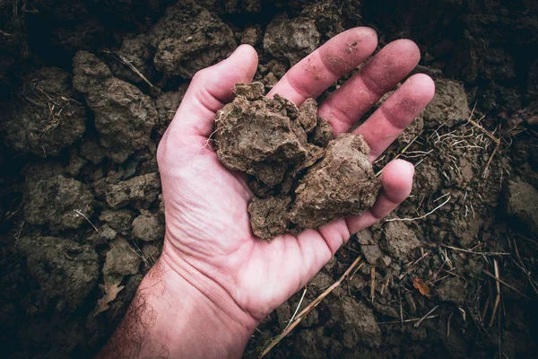 bir adam el - moody tarzı görüntü verimli topraklar