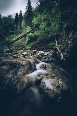 yeşil vadi - gezegenimiz ve çevre konsepti
