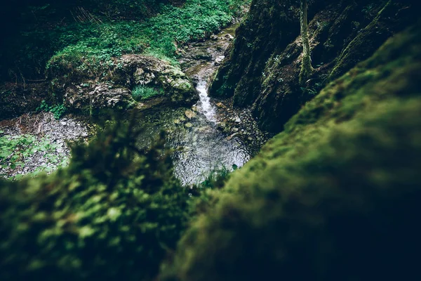 Vale Verde Nosso Planeta Conceito Meio Ambiente — Fotografia de Stock