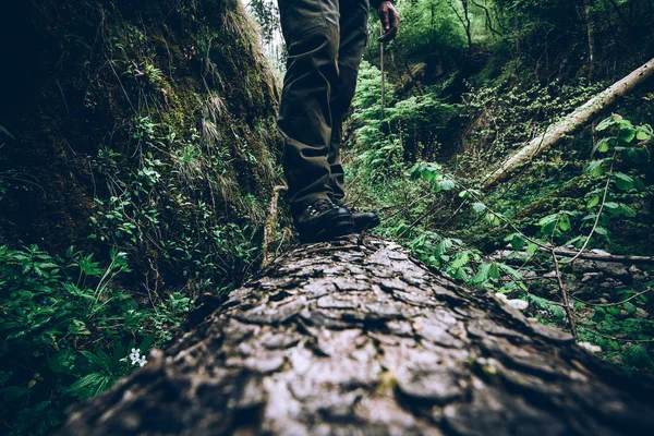 Uomo Escursionista Contemplare Valle Verde Tempo Staccare Concetto Nostro Pianeta — Foto Stock