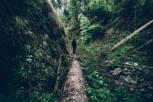 Uomo Escursionista Contemplare Valle Verde Tempo Staccare Concetto Nostro Pianeta — Foto Stock