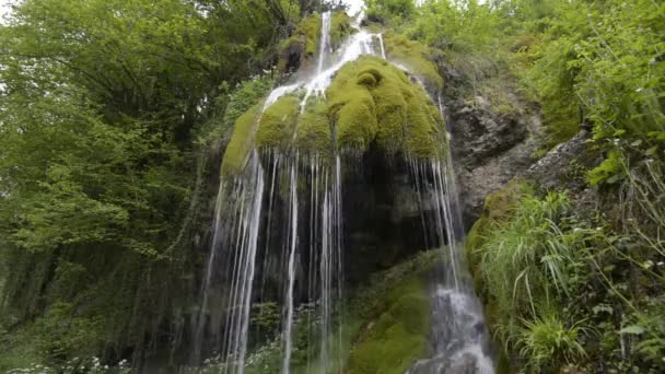 Prachtige Waterval Het Bos — Stockvideo