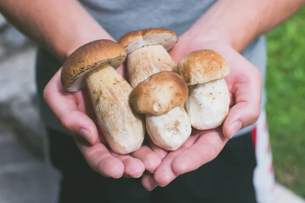 Boy Holding Boletus Edulis Mushrooms Freshly Picked Raw Food Healthy — Stock Photo, Image
