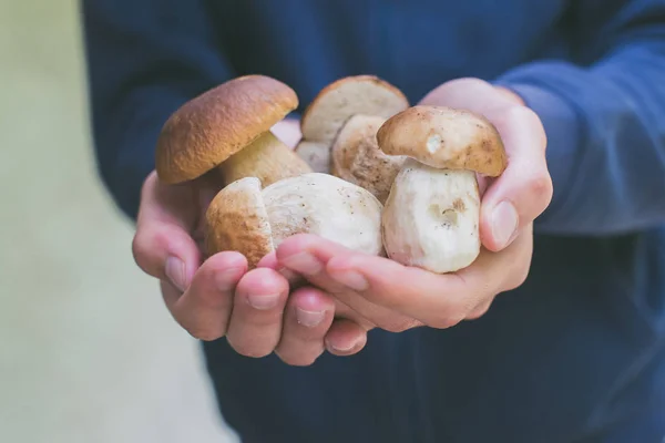 Boy Holding Boletus Edulis Mushrooms Freshly Picked Raw Food Healthy — Stock Photo, Image