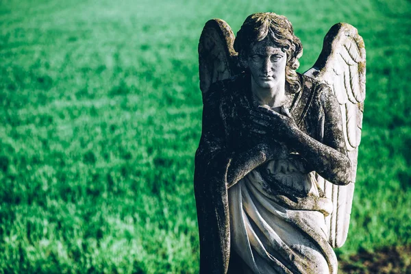 Ангел Хранитель Зеленом Фоне Поля Религии Культуры Намеренный Фильтруемый Стиль — стоковое фото