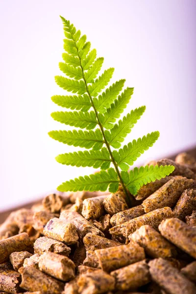 Natuurlijke Pellet Fuel Groene Hernieuwbare Duurzame Economie — Stockfoto