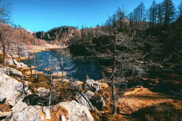 Dağda Sonbahar Sezonu Alpe Devero Piedmont Talya — Stok fotoğraf