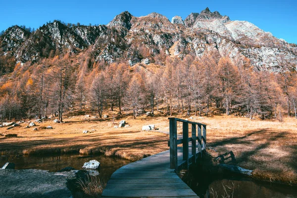 Dağda Sonbahar Sezonu Alpe Devero Piedmont Talya — Stok fotoğraf