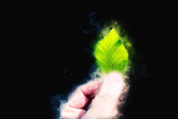 Small green leaf held by hand - environmental protection concept — Stock Photo, Image