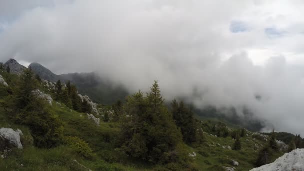 Nebbia Montagna Durante Escursione Time Lapse Video Clip — Video Stock