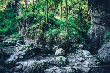 Küçük ve vahşi nehir vadisi Lombardiya İtalya