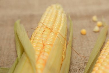 Taze Mısır Mısır koçanı yaprakları