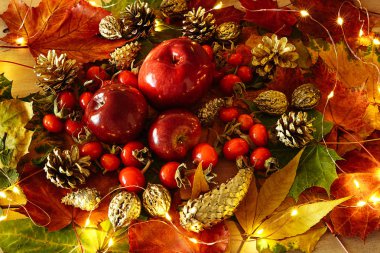 Sonbahar arka plan üzerinde kırmızı elma ve Kuşburnu ile sarı yapraklar