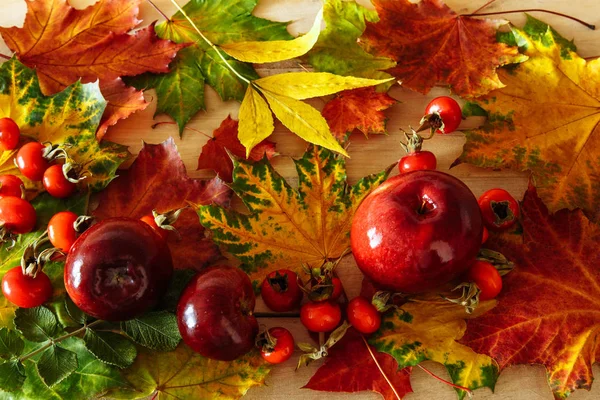 Fondo Autunnale Foglie Gialle Con Mele Rosse Rosa Canina — Foto Stock