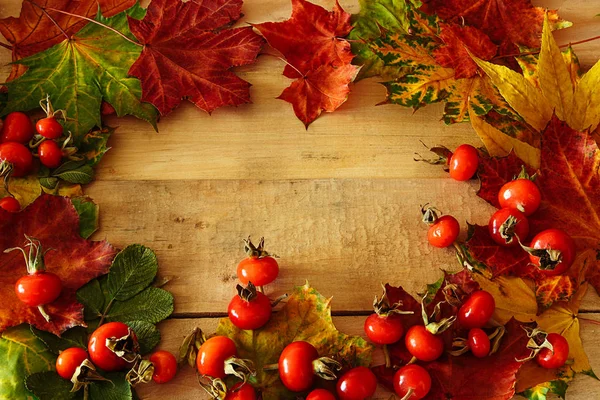 Podzimní Pozadí Jasných Barvách — Stock fotografie