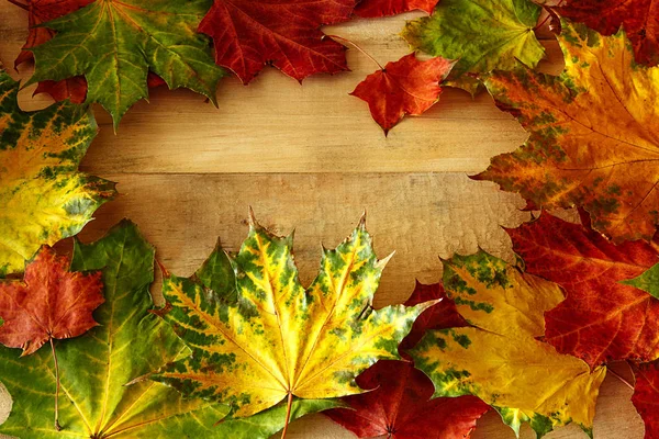 Осенний Фон Ярких Цветах — стоковое фото