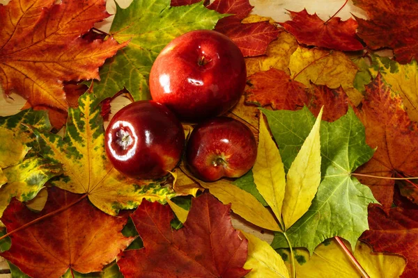 Осенний Фон Желтых Листьях Красными Яблоками Шиповником — стоковое фото