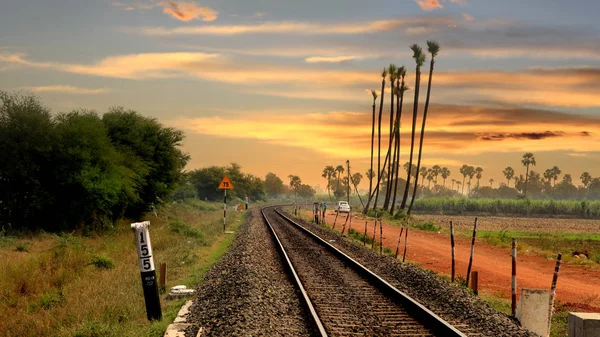 Treinspoor Door Rijstvelden India — Stockfoto