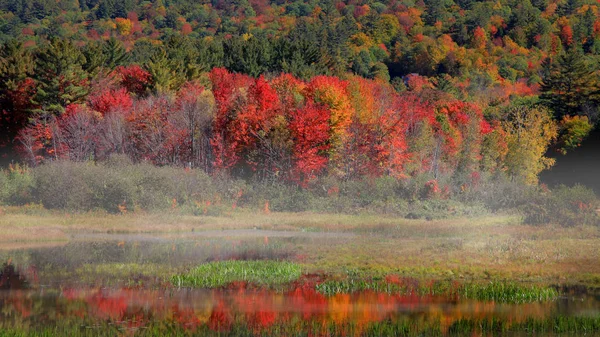 Vista Panorâmica Zona Rural Vermont Outono — Fotografia de Stock