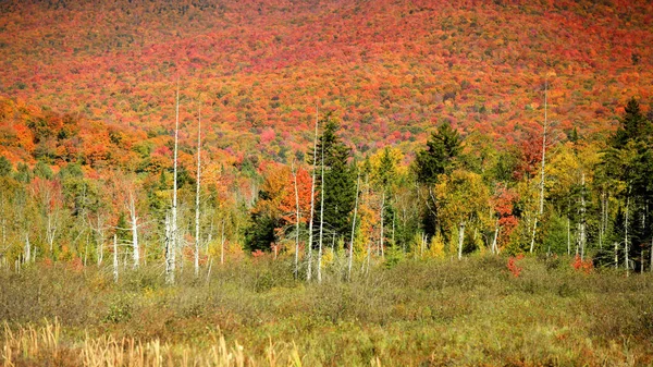 Vista Panoramica Del Vermont Rurale Autunno — Foto Stock