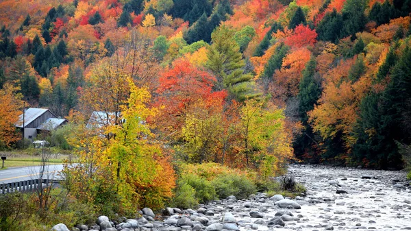 Árvores Outono Junto Rio Vermont — Fotografia de Stock