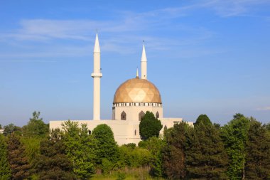 ABD'de Toledo yakınındaki Camii
