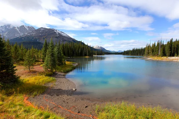 Pohled Dikobraz Creek Národním Parku Banff — Stock fotografie