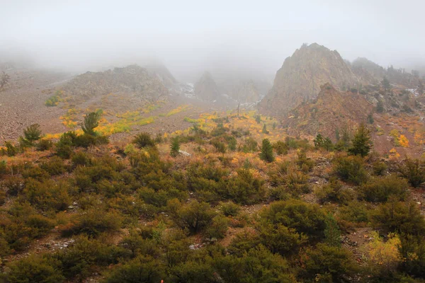 Sierra Nevada Montagnes Dans Brouillard — Photo