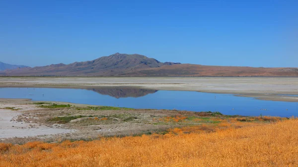 Antelope Island State Park Nello Utah — Foto Stock
