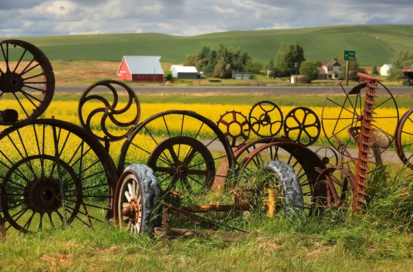 Fence Wheel Rims Rapeseed — Stock Photo, Image