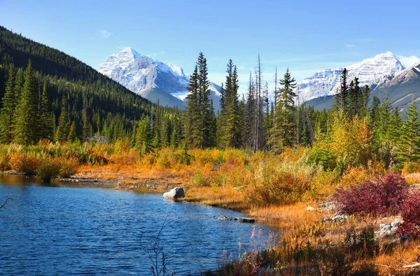 Natursköna Dammen Landskap Längs Kananaskis Trail Banff National Park — Stockfoto