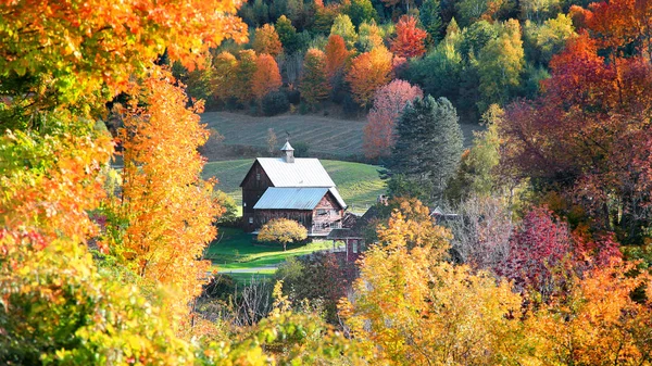 Scheune Auf Dem Land Vermont Umgeben Von Herbstbäumen — Stockfoto
