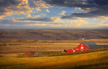 Ahır Prairies Alberta ortasında