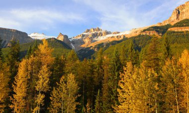 Dağlık manzara Jasper national park