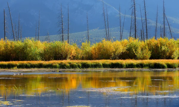 Paysage Pittoresque Des Lacs Vermilion Dans Parc National Banff — Photo