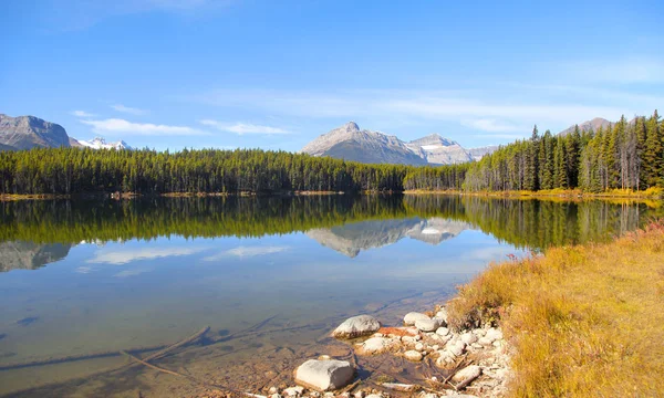 Beau Paysage Lac Herbert Dans Parc National Banff — Photo