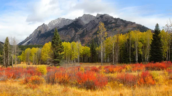 Podzimní Krajina Národním Parku Banff — Stock fotografie