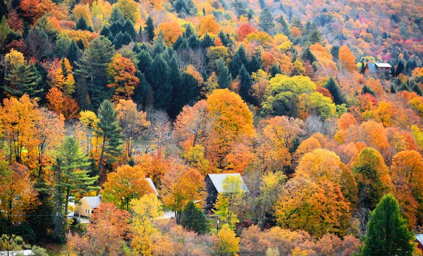 佛蒙特山脉壮观的落叶 — 图库照片