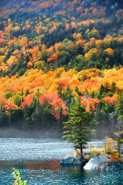 Niebla Matutina Vermont Rural Otoño — Foto de Stock