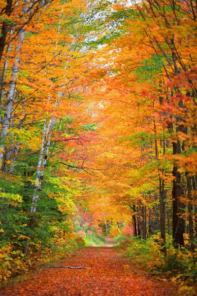 ニューイングランド側を通る風景ドライブ — ストック写真